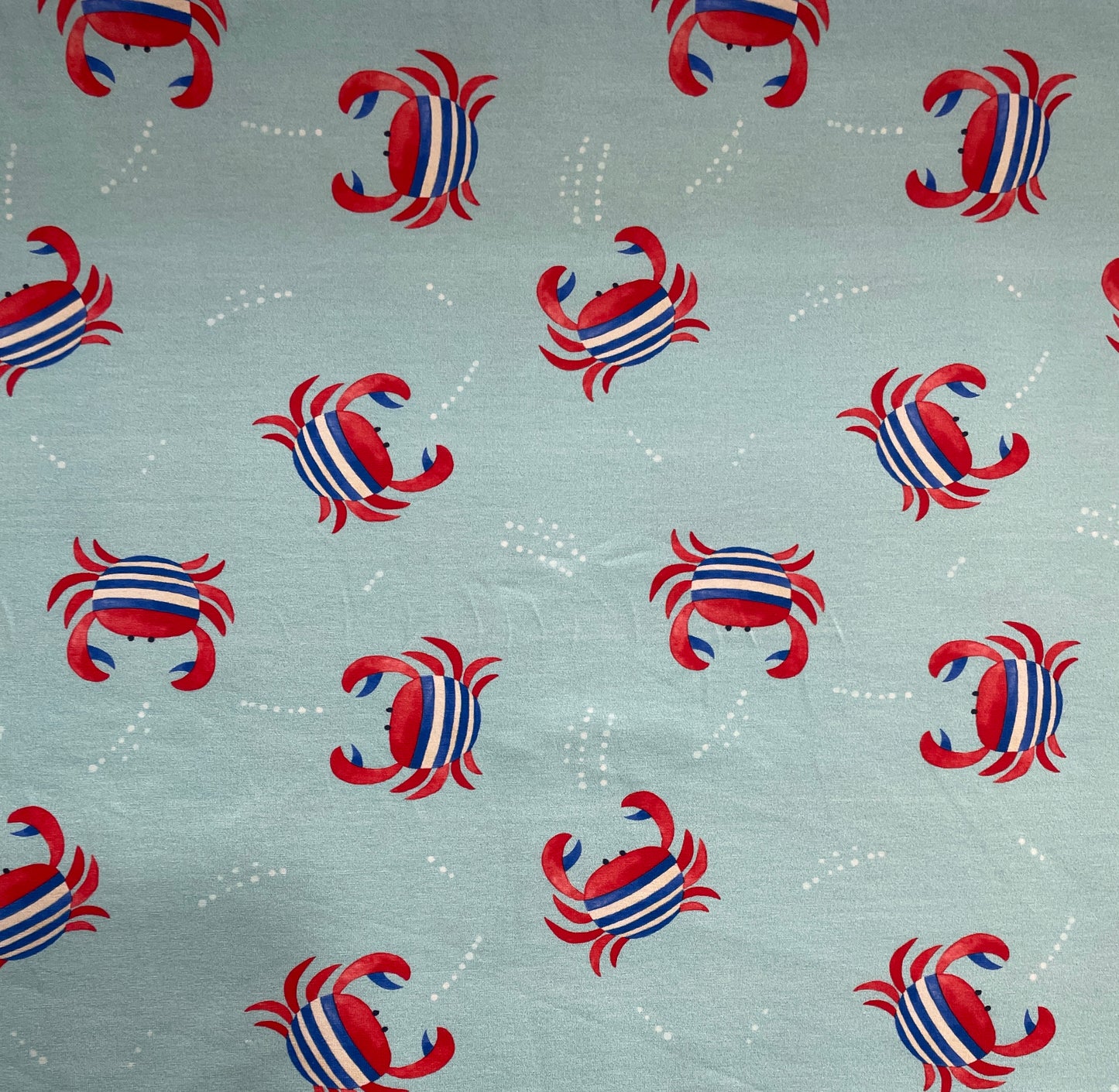 HILCO Kinderjersey „Ocean Crab“