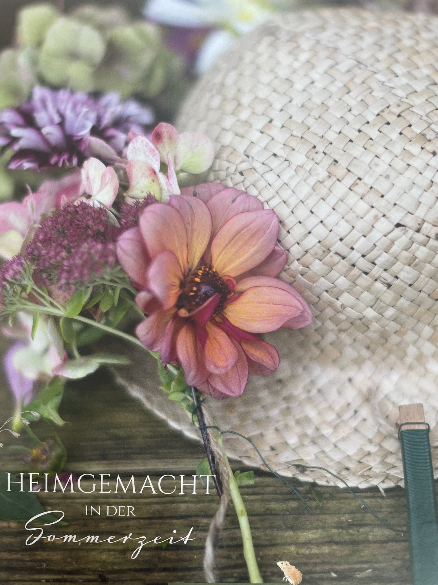 Acufactum Buch Sommerzeit